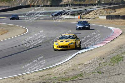 media/May-18-2025-Speed Ventures (Sun) [[b6e29aef7d]]/Green/Session 1 (Turn 3)/